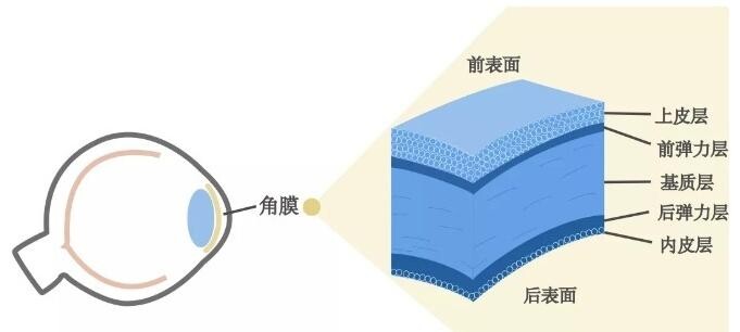 紫外線消毒燈對(duì)人體的傷害有哪些？小心患上“電光性眼炎”！